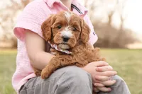 processed/69958333-4168-45df-bf92-ddd3f1e7fa1f/listing/e7eb6d37-4bbe-4288-ab9e-8ddb005184a0/997ade47-b766-4802-a107-add1a427347f