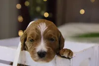 processed/69958333-4168-45df-bf92-ddd3f1e7fa1f/listing/e7eb6d37-4bbe-4288-ab9e-8ddb005184a0/d2a101a2-d499-4cd9-9934-2404519da14d