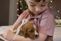 processed/69958333-4168-45df-bf92-ddd3f1e7fa1f/listing/e7eb6d37-4bbe-4288-ab9e-8ddb005184a0/efa611f4-38d0-40df-ac86-2eee42ff49f1