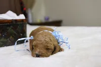 processed/69958333-4168-45df-bf92-ddd3f1e7fa1f/listing/ec67ceef-0638-4f78-a7c0-37ff032c9b4e/852907e4-2c41-436f-bba6-941ec9b55fe0