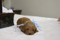 processed/69958333-4168-45df-bf92-ddd3f1e7fa1f/listing/ec67ceef-0638-4f78-a7c0-37ff032c9b4e/91d1460a-7e10-4557-8d92-144ac1f26071