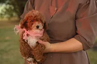 processed/69958333-4168-45df-bf92-ddd3f1e7fa1f/listing/fc88247c-d9d7-45bb-a49d-fec21361d9d6/6b43076e-0698-4307-ae8c-ff10e41981af