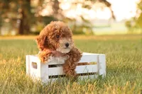 processed/69958333-4168-45df-bf92-ddd3f1e7fa1f/listing/fc88247c-d9d7-45bb-a49d-fec21361d9d6/ac06ee1a-5b76-4c2d-a420-f846ba601aab