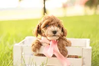 processed/69958333-4168-45df-bf92-ddd3f1e7fa1f/listing/fc88247c-d9d7-45bb-a49d-fec21361d9d6/d4ac367b-0550-453d-b8bf-275e8e1a7669