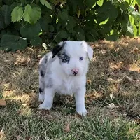 processed/6999ed33-99c7-4cd5-a566-736a3b117f7a/facility/030041d6-6da6-4a3b-9e11-d9d1087be9d7