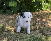 processed/6999ed33-99c7-4cd5-a566-736a3b117f7a/facility/030041d6-6da6-4a3b-9e11-d9d1087be9d7