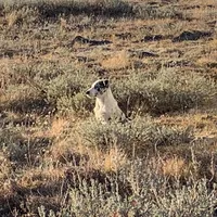 processed/6999ed33-99c7-4cd5-a566-736a3b117f7a/facility/1808ef72-cc19-4e06-9c0e-9cf655d18054