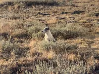 processed/6999ed33-99c7-4cd5-a566-736a3b117f7a/facility/1808ef72-cc19-4e06-9c0e-9cf655d18054