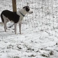 processed/6999ed33-99c7-4cd5-a566-736a3b117f7a/facility/37da76b6-fd19-43d2-a514-ca6d742a5b60