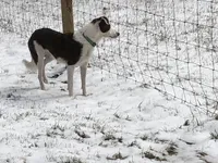 processed/6999ed33-99c7-4cd5-a566-736a3b117f7a/facility/37da76b6-fd19-43d2-a514-ca6d742a5b60