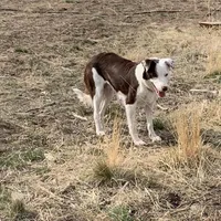 processed/6999ed33-99c7-4cd5-a566-736a3b117f7a/facility/37f73087-52d0-4bc9-a2a6-6b4c332aee01