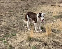 processed/6999ed33-99c7-4cd5-a566-736a3b117f7a/facility/37f73087-52d0-4bc9-a2a6-6b4c332aee01