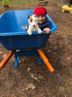 processed/6999ed33-99c7-4cd5-a566-736a3b117f7a/facility/76396199-a236-46e2-aa00-b320f0b630ee