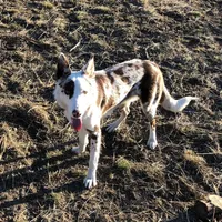 processed/6999ed33-99c7-4cd5-a566-736a3b117f7a/facility/d8ccf5ac-40bb-4611-9f61-2fd52d1a8f55