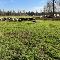 processed/6999ed33-99c7-4cd5-a566-736a3b117f7a/facility/dd367b0e-46d6-4205-a235-0b385d81f565