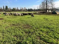 processed/6999ed33-99c7-4cd5-a566-736a3b117f7a/facility/dd367b0e-46d6-4205-a235-0b385d81f565