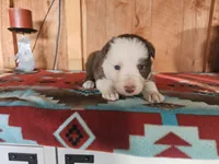 processed/6999ed33-99c7-4cd5-a566-736a3b117f7a/listing/83bb1d85-ba32-4fee-82d4-2e0d79453842/41fa088d-2186-47c7-8b9c-2e422c9fb48b