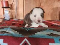 processed/6999ed33-99c7-4cd5-a566-736a3b117f7a/listing/83bb1d85-ba32-4fee-82d4-2e0d79453842/735fcef8-b227-4252-a562-1435983617e7