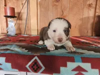 processed/6999ed33-99c7-4cd5-a566-736a3b117f7a/listing/83bb1d85-ba32-4fee-82d4-2e0d79453842/92d61ef5-d9e7-400e-a8ca-bf80232cdeef