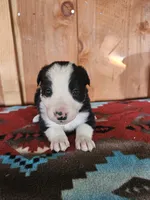 processed/6999ed33-99c7-4cd5-a566-736a3b117f7a/listing/c4dfdb38-771c-4a06-bb66-ecec7118c8e4/113a6ba8-5f40-4e1d-98ca-f0baa4b21d8b