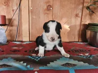 processed/6999ed33-99c7-4cd5-a566-736a3b117f7a/listing/c4dfdb38-771c-4a06-bb66-ecec7118c8e4/2bf21799-fa33-4fe6-b3b8-165107e72849