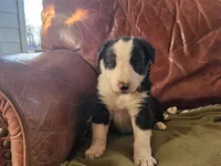 processed/6999ed33-99c7-4cd5-a566-736a3b117f7a/listing/c4dfdb38-771c-4a06-bb66-ecec7118c8e4/86522e59-4ae8-4a66-bbfc-8320ab2ab6fc