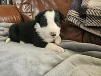 processed/6999ed33-99c7-4cd5-a566-736a3b117f7a/listing/c4dfdb38-771c-4a06-bb66-ecec7118c8e4/9676af15-5ecf-44bc-bd2a-41e9cacf7ff0