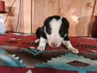 processed/6999ed33-99c7-4cd5-a566-736a3b117f7a/listing/c4dfdb38-771c-4a06-bb66-ecec7118c8e4/a36ec555-4b06-421d-9299-8d49c6c941a3