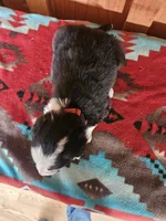 processed/6999ed33-99c7-4cd5-a566-736a3b117f7a/listing/c4dfdb38-771c-4a06-bb66-ecec7118c8e4/cfdddba1-eed6-4811-bf9f-2ecf07351bcd