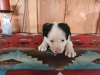 processed/6999ed33-99c7-4cd5-a566-736a3b117f7a/listing/d1446095-5b08-4880-8277-8252124ac199/16e8d865-c778-4c8d-a4c0-7448f273d6f7