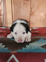 processed/6999ed33-99c7-4cd5-a566-736a3b117f7a/listing/d1446095-5b08-4880-8277-8252124ac199/2498329c-0079-4b8e-b5e7-368645d2fac1