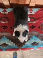 processed/6999ed33-99c7-4cd5-a566-736a3b117f7a/listing/d1446095-5b08-4880-8277-8252124ac199/41c38875-4084-45b7-a31f-4be709f2b6d1