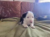 processed/6999ed33-99c7-4cd5-a566-736a3b117f7a/listing/d1446095-5b08-4880-8277-8252124ac199/487059a2-f23b-4c19-9dae-b2eb635cf9d1