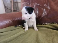 processed/6999ed33-99c7-4cd5-a566-736a3b117f7a/listing/d1446095-5b08-4880-8277-8252124ac199/5906b4d9-e9d2-4e3c-9f72-ddfdf8fffa88