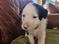 processed/6999ed33-99c7-4cd5-a566-736a3b117f7a/listing/d1446095-5b08-4880-8277-8252124ac199/6deaa7a9-1468-4fa9-aec8-14d22325c42b