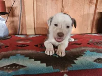 processed/6999ed33-99c7-4cd5-a566-736a3b117f7a/listing/db0a2e3e-1f51-48f7-9db5-5f63066b1208/36074b30-3c8b-460d-8049-2ccda74bcc01