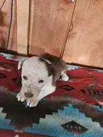 processed/6999ed33-99c7-4cd5-a566-736a3b117f7a/listing/db0a2e3e-1f51-48f7-9db5-5f63066b1208/754add90-b49e-4647-b3dd-7651d9a2f7f5