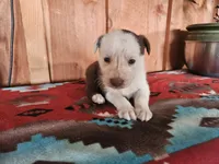 processed/6999ed33-99c7-4cd5-a566-736a3b117f7a/listing/db0a2e3e-1f51-48f7-9db5-5f63066b1208/a81b4a8a-c4e2-40e0-ab6d-f064ab01173b