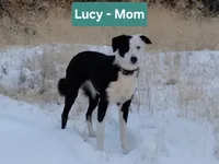 processed/6999ed33-99c7-4cd5-a566-736a3b117f7a/listing/db0a2e3e-1f51-48f7-9db5-5f63066b1208/d9ac9cc1-1271-4701-8236-381f19104ea6