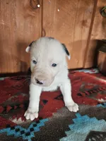 processed/6999ed33-99c7-4cd5-a566-736a3b117f7a/listing/e23c3464-b4dd-4fc4-bf75-c04c585c8afd/2b1fa5e3-fd6f-484f-b397-9e84e2651ff2