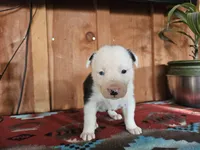 processed/6999ed33-99c7-4cd5-a566-736a3b117f7a/listing/e23c3464-b4dd-4fc4-bf75-c04c585c8afd/b74620a3-fd6f-44d3-bb98-7a2ad6396a40