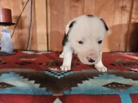 processed/6999ed33-99c7-4cd5-a566-736a3b117f7a/listing/e23c3464-b4dd-4fc4-bf75-c04c585c8afd/fe7d9aa8-735e-48c5-9ed5-d70a9734c7ac