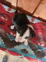 processed/6999ed33-99c7-4cd5-a566-736a3b117f7a/listing/ec8f90d2-94b1-475f-870a-23d8cc656cb8/70c16da1-aa93-4ad0-81c5-928a7a6bf64d