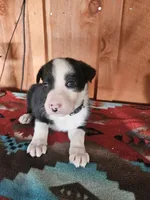 processed/6999ed33-99c7-4cd5-a566-736a3b117f7a/listing/ec8f90d2-94b1-475f-870a-23d8cc656cb8/8a61b0d7-c6f5-48e2-a434-dab31e31444a