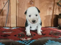 processed/6999ed33-99c7-4cd5-a566-736a3b117f7a/listing/fe080176-f1ba-4595-9d48-5ea9ddf802e9/05f0ecaf-8f09-45e4-bd8c-aa8b15011c7a