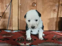 processed/6999ed33-99c7-4cd5-a566-736a3b117f7a/listing/fe080176-f1ba-4595-9d48-5ea9ddf802e9/2a9edf19-d083-418d-b5d5-7801e07e0707