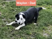 processed/6999ed33-99c7-4cd5-a566-736a3b117f7a/listing/fe080176-f1ba-4595-9d48-5ea9ddf802e9/e76f7e65-1ccf-4554-af8b-cb2da9cecf65