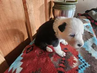 processed/6999ed33-99c7-4cd5-a566-736a3b117f7a/listing/fe080176-f1ba-4595-9d48-5ea9ddf802e9/faa653f7-6ed5-40ee-927c-1a5158a14a82