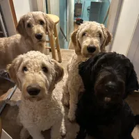 processed/69acf375-7445-42fd-9f7f-c06499cb6a49/facility/2d66c0a3-0801-4126-a2e8-f2e157b81a97