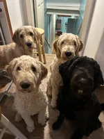 processed/69acf375-7445-42fd-9f7f-c06499cb6a49/facility/2d66c0a3-0801-4126-a2e8-f2e157b81a97